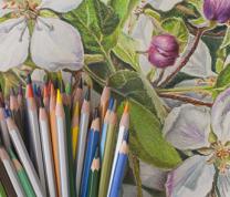 Multi-Colored Pencil Painting Class